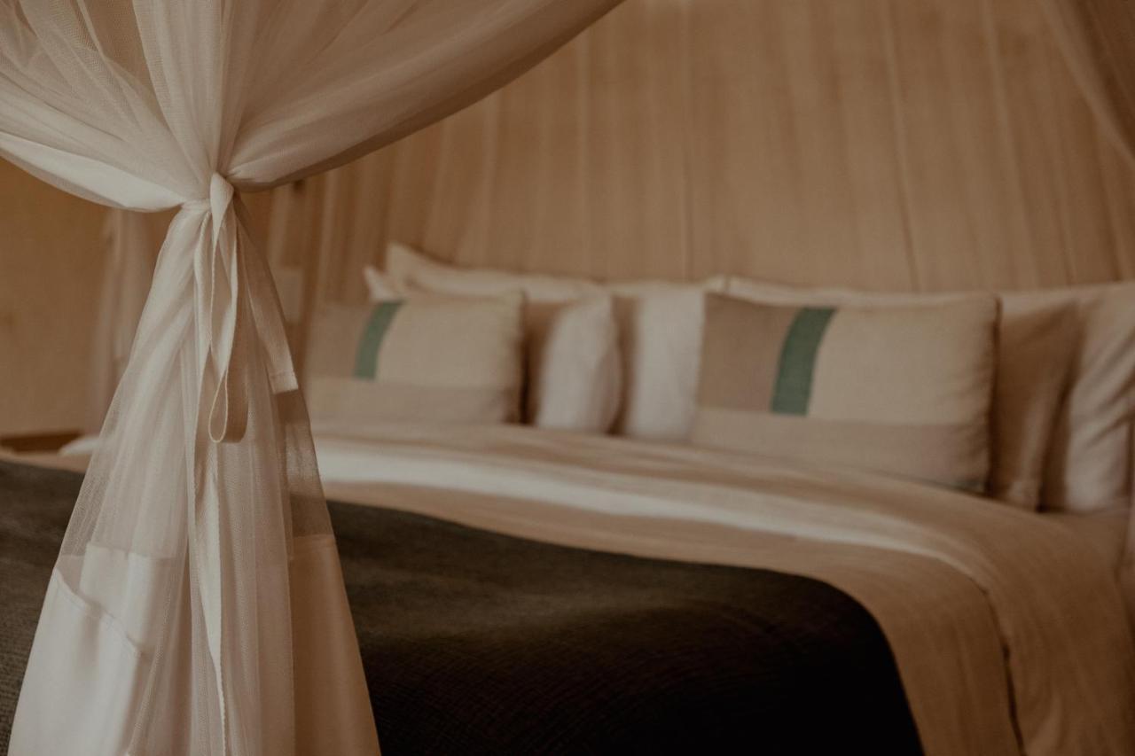 The Bean Tree Hotel แมคเกรเกอร์ ภายนอก รูปภาพ